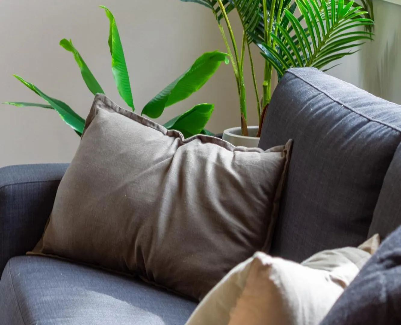 Apartment Latimer Square Luxe: 1Br W/ Sofa Bed Christchurch New Zealand